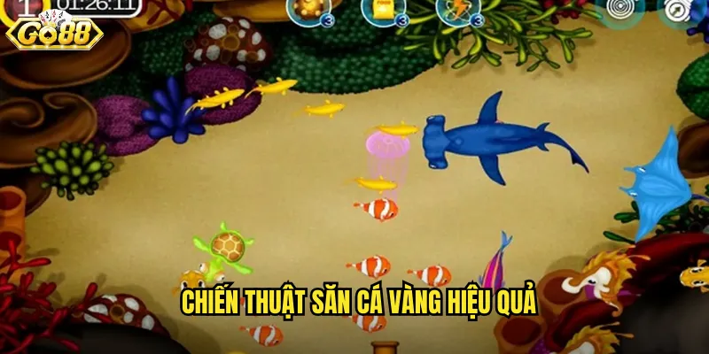Chiến Thuật Săn Cá Vàng Hiệu Quả